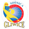 Sosnica Gliwice